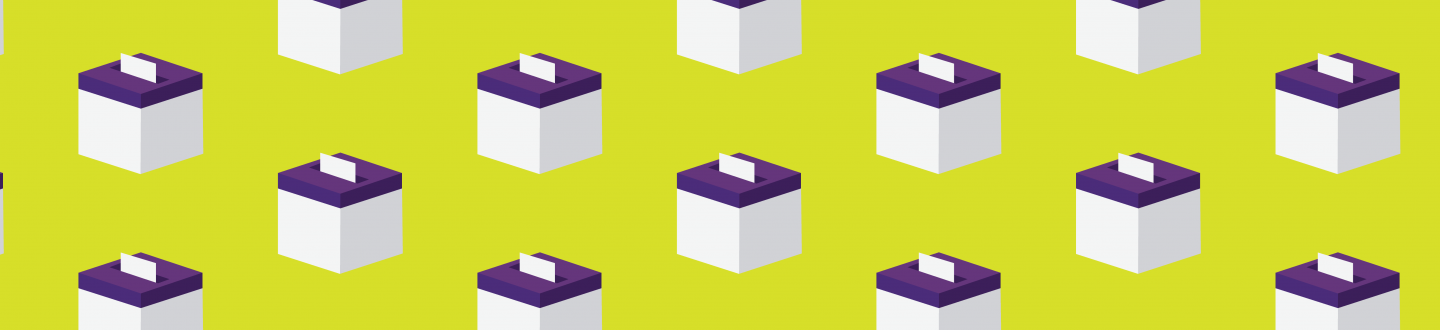 Election Information
