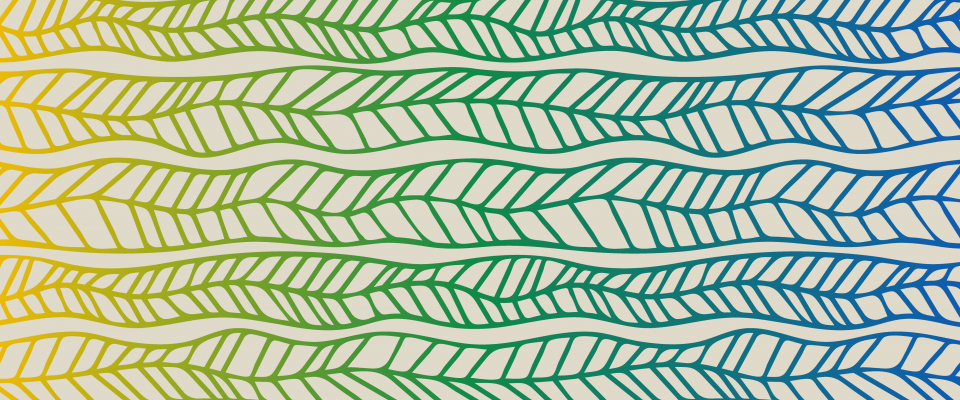 National Indigenous History month scrape Abstract banner with flowing leaf-like lines in a yellow, green, and blue gradient.