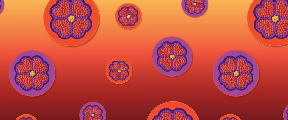 National Indigenous Peoples Day graphic Beaded flower artwork in warm sunset tones celebrating National Indigenous Peoples Day.
