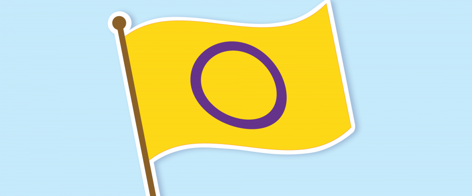 pride intersex awareness