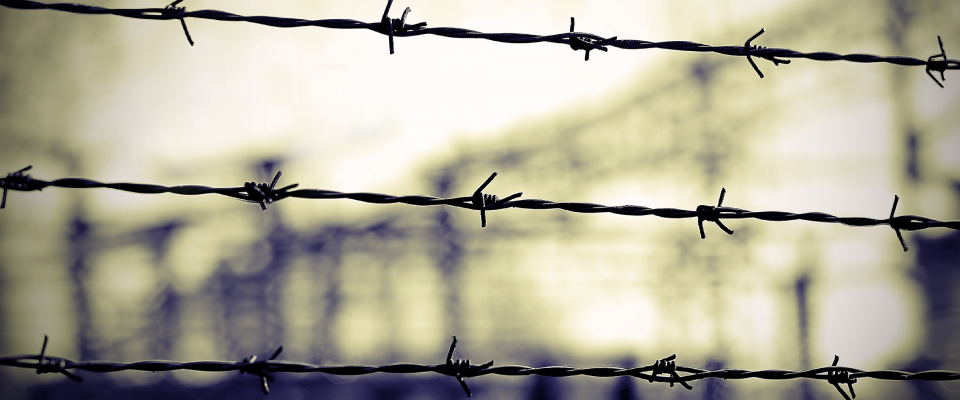 Holocaust Remembrance Day Barbed Wire 
