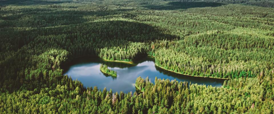 A tranquil, heart-shaped lake nestled in the middle of a vast, lush green forest under a bright, partly cloudy sky.