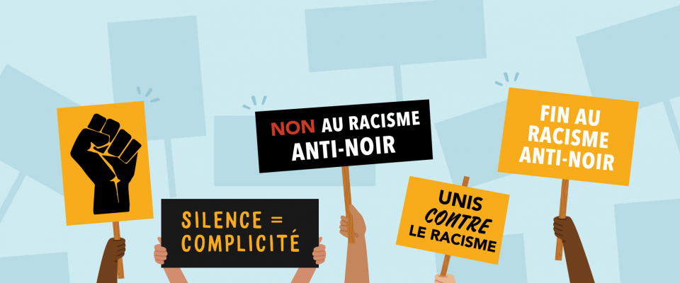 l' image