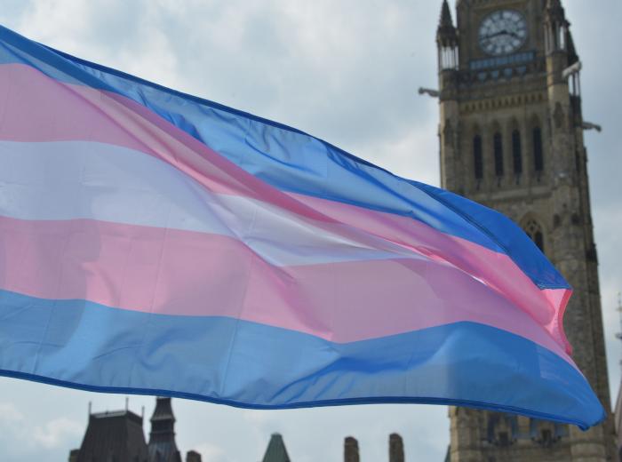 drapeau de fierté trans