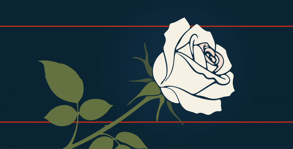 Blue background with image of a white rose.
