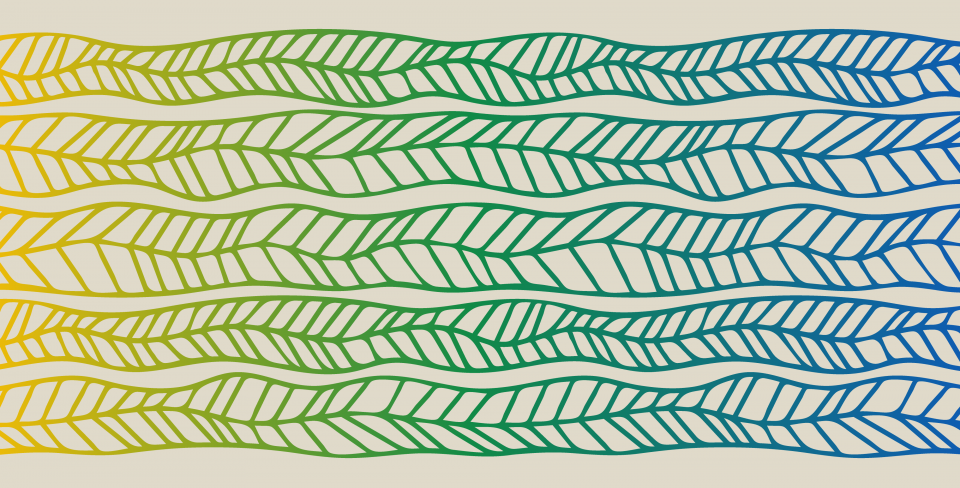Abstract banner with flowing leaf-like lines in a yellow, green, and blue gradient.