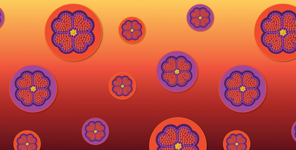 National Indigenous Peoples Day graphic Beaded flower artwork in warm sunset tones celebrating National Indigenous Peoples Day.