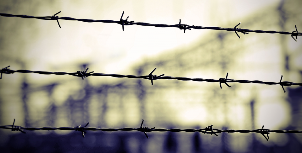 Holocaust Remembrance Day Barbed Wire 