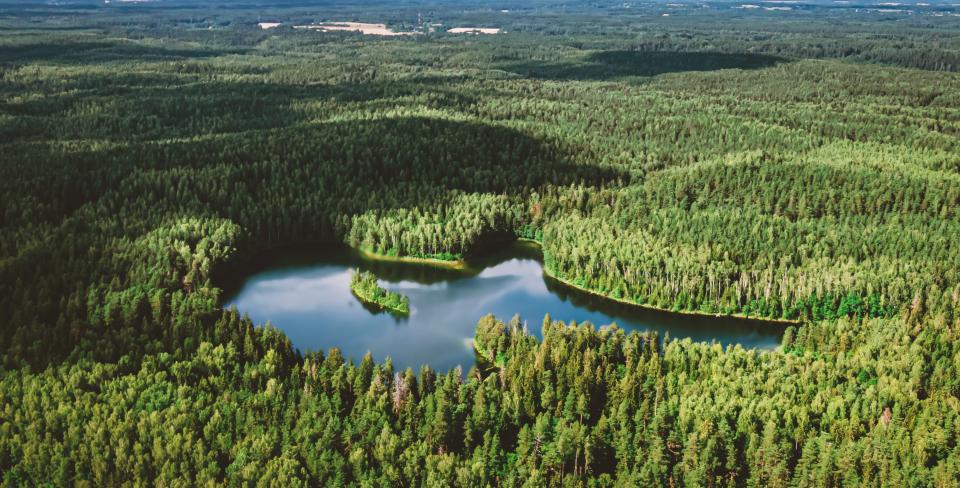 A tranquil, heart-shaped lake nestled in the middle of a vast, lush green forest under a bright, partly cloudy sky.