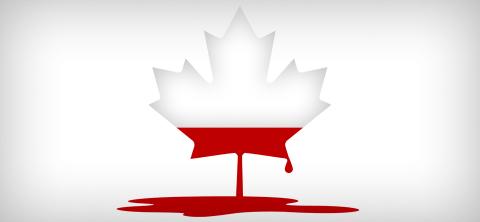 Feuille d'érable du drapeau canadien saignant et perdant la couleur rouge de la feuille pour devenir transparante.