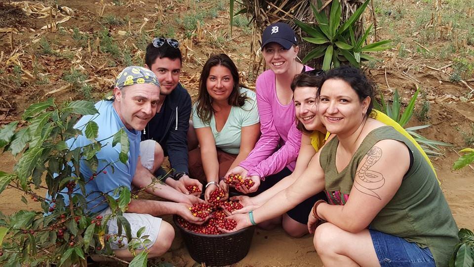 Coffee volunteers